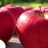 Apple Calories, Nutrition, and Health Benefits: Everything You Need to Know