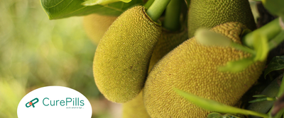 Jackfruit Explained: Health Benefits, Uses, Types & Side Effects