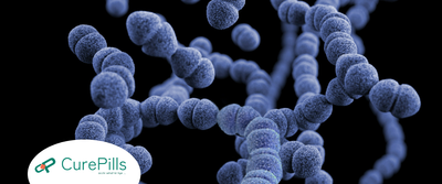 Bacterial Pneumonia: Causes, Symptoms, and Treatment Explained