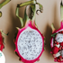Dragon Fruit Benefits: Nutrition, Wellness Perks & How to Eat It