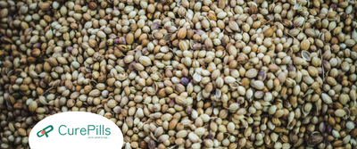 Hemp Seeds: Nutrition, Health Benefits, Uses, and Precautions