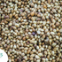 Hemp Seeds: Nutrition, Health Benefits, Uses, and Precautions