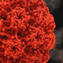 HPV in Males: Key Facts, Symptoms & Treatment Options